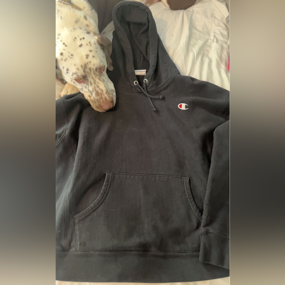 CHAMPION HOODIE dog not included lol. size xs